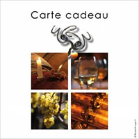 idée cadeau carte atelier dégustation découverte vin et vignoble bordeaux