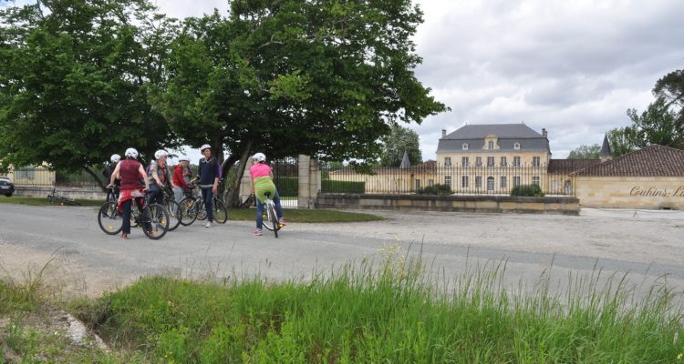 bikers in vineyards